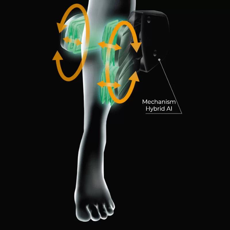 패밀리 이나 다 테라 피나 로보 HCP-LPN30000